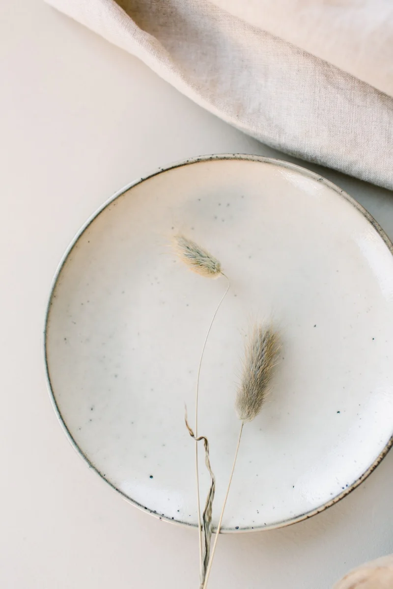 Dinner Plate